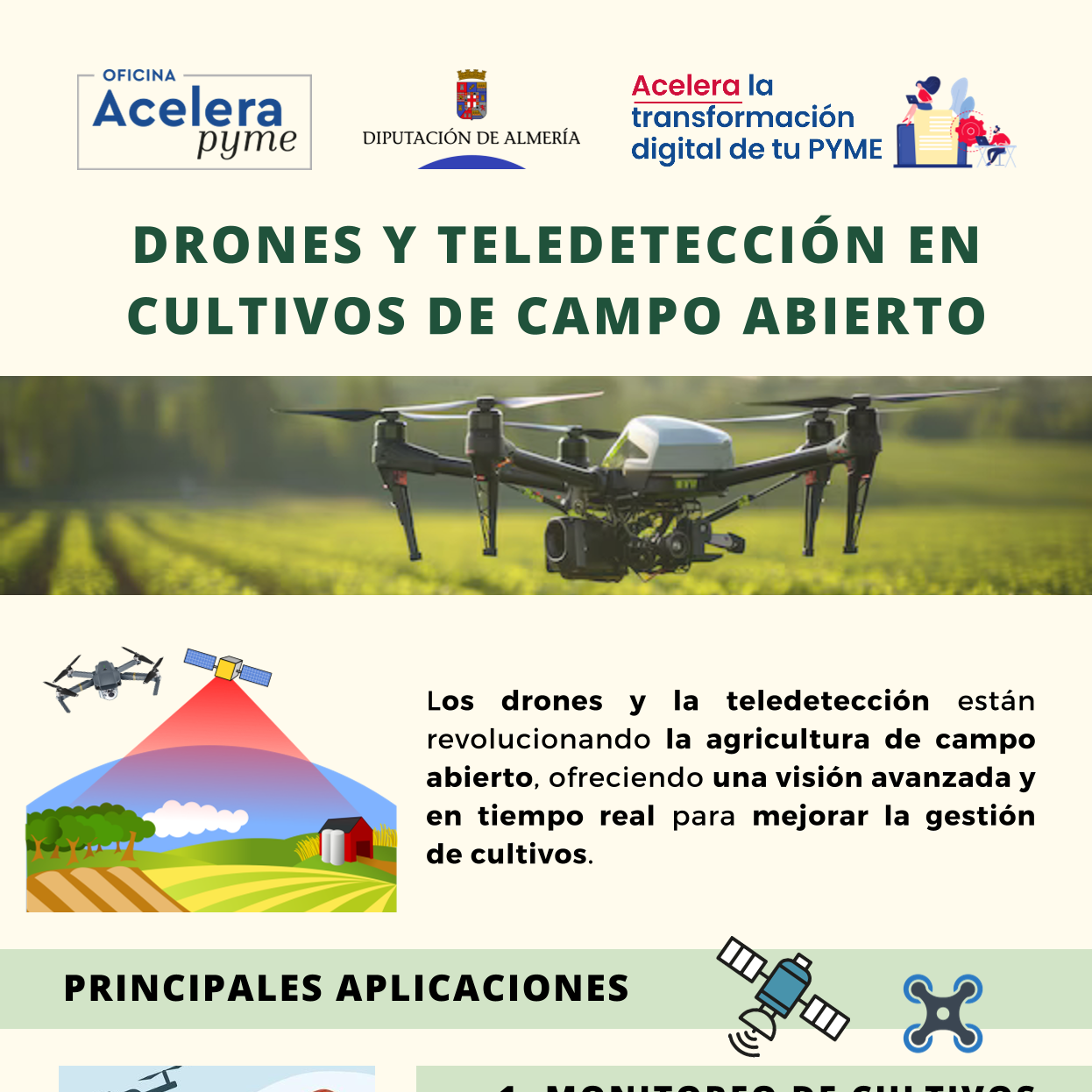 DRONES Y TELEDETECCIÓN EN CULTIVOS DE CAMPO ABIERTO CULTIVOS DE CAMPO ABIERTO